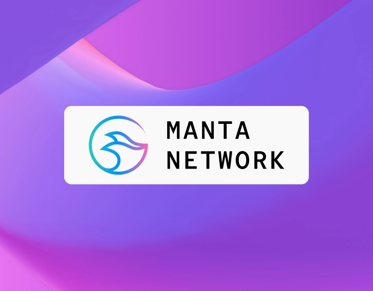 Что говорят эксперты о BOOK OF MEME и Manta Network: ключевые выводы